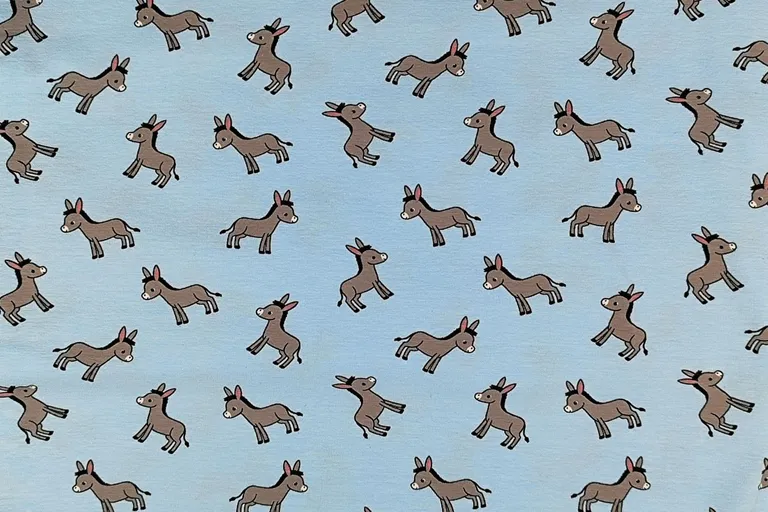 lustige witzige Boxershorts UnterwäscheEsel hellblau