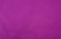 Bio