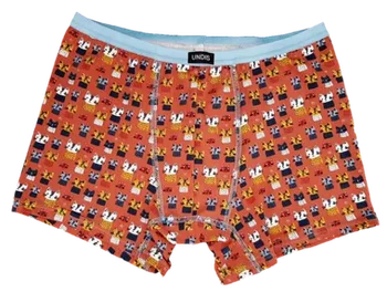 Herrenboxershorts Partnerlook